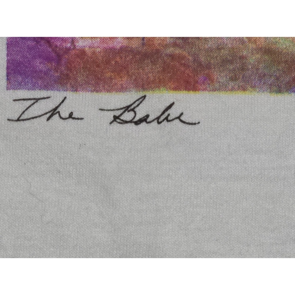 Babe Ruth Original Art T-Shirt by Lance Richbourg Vtg Made In‎ The Usa Hanes - Picture 4 of 10